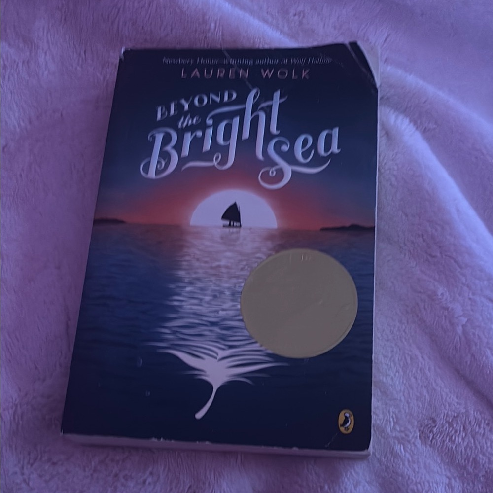 Beyond the Bright Sea Book
